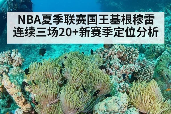 NBA夏季联赛国王基根穆雷连续三场20+新赛季定位分析